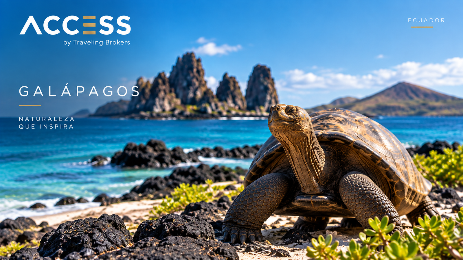 Galápagos 2x1 — Santa Cruz 4D/3N | Hotel Turista